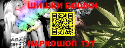 спиды Кингисепп