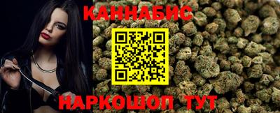 спиды Кингисепп