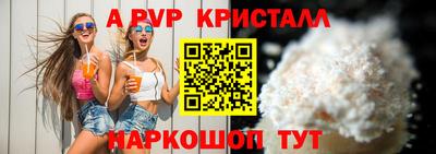 спиды Кингисепп