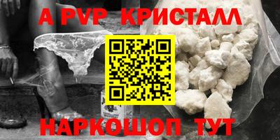 спиды Кингисепп